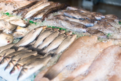 raw-fish-market.jpg