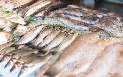 raw-fish-market.jpg